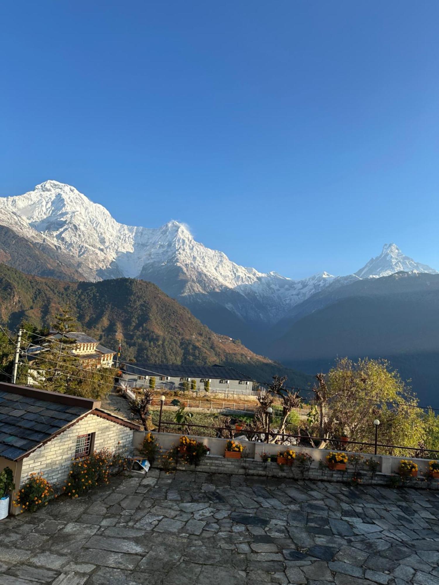 Hill Top Lodge Ghandruk Astam Екстер'єр фото